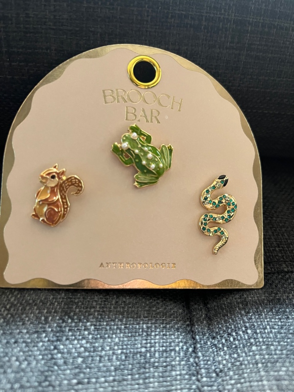 NWT Anthro Woodland Friends Frog, Squirrel & Snake Pin Set
